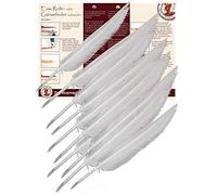 Forum Traiani Writing Nibs, Pack of 10, Calligraphy Nib, Feather Quill to Cut, Calligraphy Pen, Goose Quill Set, Writing Tube Goose Feathers