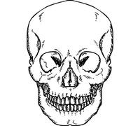 'Forward Facing Skull' Rubber Stamp - Unmounted Design for Crafting & Scrapbooking, A7 (RS00000215)