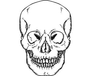 'Forward Facing Skull' Rubber Stamp - Unmounted Design for Crafting & Scrapbooking, A7 (RS00000215)