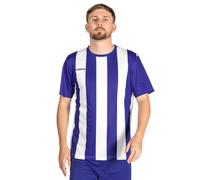 FORZA Men’s Striped Jersey Shirt [XS-XXL] - Premium Short Sleeve Football T-Shirts | 5 Stripe Colour Options (Blue and White, S)