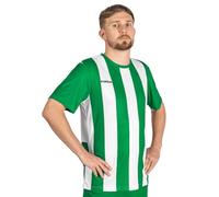 FORZA Men’s Striped Jersey Shirt [XS-XXL] - Premium Short Sleeve Football T-Shirts | 5 Stripe Colour Options (Green and White, XXL)