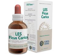 Forza Vitale Ficus Carica Common Fig 50 ml