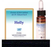 Forza Vitale Fm 15 Holly 10 ml