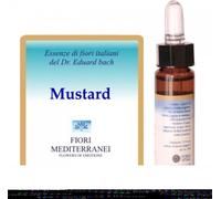Forza Vitale Fm 21 Mustard 10 ml