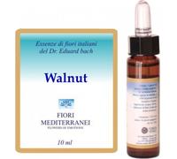 Forza Vitale Fm 33 Walnut 10 ml