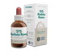 Forza Vitale SYS Rhodiola Rosea Spagyric Extract 50ml - Pack of 2, Alchemical Elixir Saving Format Adaptogenic Root Concentrate for Mental Performance