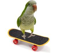 FORZENA Bird Toys Mini Skateboard Training Trick Prop Toys Funny Intelligence Educational Grind Foot Toys for Parrot Parakeet Conures Cockatiels (Regular Version,3PC)