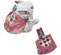 FORZENA Cute Bunny Rabbit Clothes Mini Skirts Easter Costume Outfits for Small Animal Chinchilla Hedgehog Ferret Guinea Pigs Piggies Squirrel (XXS,Red)