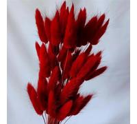 FOSANGPUSHI Bunny Tails Dried Flowers,100Pcs 45cm Dried Rabbit Tail Grass Boho Home Decor,Natural Pampas Grass for Flower Arrangements Wedding Home Decor Red