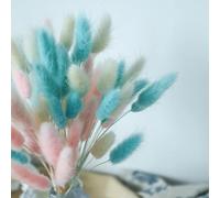 FOSANGPUSHI Bunny Tails Dried Flowers,30Pcs 40cm Natural Dried Flower Rabbit Tail Bouquet Home Wedding Easter Decoration Pampas Grass Real Flowers Mix C