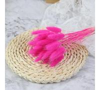 FOSANGPUSHI Bunny Tails Dried Flowers,50Pcs 45cm Natural Bunny Rabbit Tail Grass Real Bouquet Wedding Decoration Pampas Grass Boho Home Decor Rose