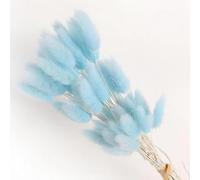 FOSANGPUSHI Bunny Tails Dried Flowers,60Pcs 45cm Bunny Tails Dried Flowers for Home Vase Decoration Natural Dry Pampas Rabbit Tail Grass Wedding Arrangement Light Blue
