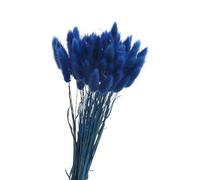 FOSANGPUSHI Dried Flowers,50Pcs 45cm Natural Rabbit Tail Grass Colorful Dried Flowers Bouquets Bunny Tails Photo Prop Home Wedding Decoration Blue