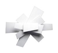 Foscarini Big Bang Ceiling lamp/Wall Lamp White