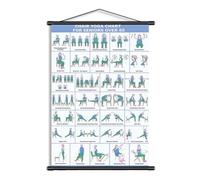 FOSDICK Chair Yoga Workout Poster, Yoga Chair Exercises Chart, 20x30cm Foldable Multiple Poses Pilates Fitness Stretching Mount, Seated Yogas Workout Chart Poster Easy Follow Training Reference