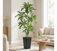 FOSHOI Artificial Dracaena Plants Indoor, 6FT Fake Tree with Balck Planter | Large Artificial Floor Plant, Realistic 5-Trunk Design, Tall Silk Faux Plant Perfect for Living Room Office & Home Decor
