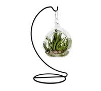 Fosinz 9 Inch Ornament Display Stand, Iron Hanging Stand Rack Holder for Hanging Glass Globe Air Plant Terrarium for Christmas Wedding, Home, Office,Garden Decorations(Black)