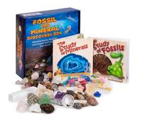Fossil and Mineral Discovery Box - Hand - Selected Genuine Rocks, Minerals and Fossils from around the World!