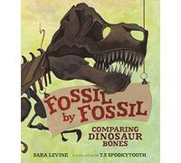 Fossil by Fossil: Comparing Dinosaur Bones (Animal by Animal)