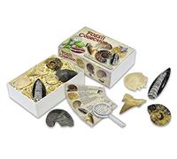 Fossil Collection Gift Box