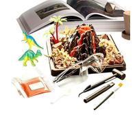 Fossil Dig Exploration Toy Interactive Skills Building