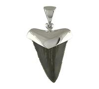 Fossil Shark Tooth Sterling Silver Cap-Set Pendant
