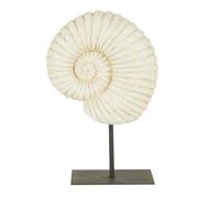 Fossil Shell on Stand Ornament