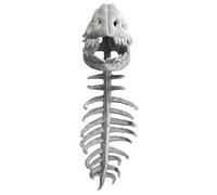 Fossil Snug Dinosaur - Wearable Skeleton Plush Costume - 3D Soft Prehistoric Bone Outfit, Fun Animal Suit for Halloween and Role Play, Machine Washable (A-Large)