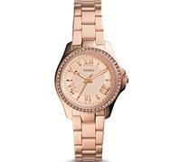 Fossil Watch Cecile Ladies D - Gold FS-003