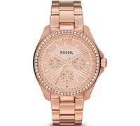 Fossil Watch Cecile Ladies D - Gold FS-004