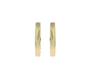Fossil Women's Gold tone stainless Steel with hoop closure Earrings