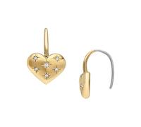 Fossil Women's Stainless Steel with Hook closure Earrings