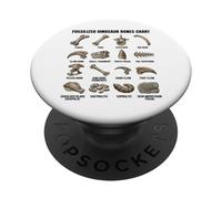 Fossilized Dinosaur Bones Chart Paleontology Prehistoric PopSockets Adhesive PopGrip