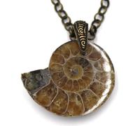 Fossilized Genuine Ammonite Fossil Necklace, 18-22 Inches Adjustable