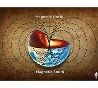 Fossils and the Shifting Crust