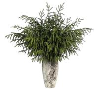 FOTEEWL Real Touch Norfolk Pine Branch - 36" Artificial Christmas Green Plants Branches Faux Greenery Stem Fake Pine Picks for DIY Crafts Garland Wreath Xmas Indoor Outdoor Home Decor (8 Pcs)