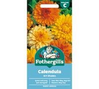 Fothergill's Calendula Art Shades Flower Seeds, 200 Seeds, Sow: Mar-May, Aug-Oct, Orange/Yellow