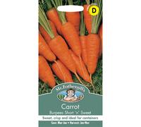 Fothergill's Carrot Burpees Short 'n' Sweet, Vegetable Seeds, 1000 Seeds, Sow: Mar-Jun, Orange