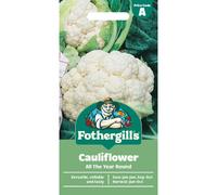 Fothergill's Cauliflower All The Year Round, Vegetable Seeds, 200 Seeds, Sow: Jan-Jun, Sep-Oct, White