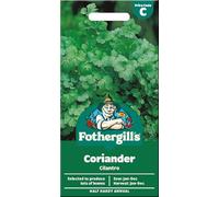 Fothergill's Coriander Seeds 'Cilantro' for Planting UK - Sow All Year Round - Harvest All Year Round
