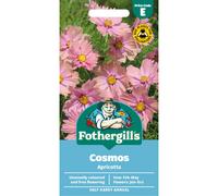 Fothergill's Cosmos Apricotta Flower Seeds, 30 Seeds, Sow: Feb-May, Peach