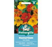 Fothergill's Nasturtium Tom Thumb Flower Seeds, 35 Seeds, Sow: Feb-Jun, Orange/Red