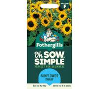Fothergill's Oh Sow Simple, Sunflower Dwarf Flower Seeds, Sow: Mar-May, Yellow