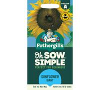 Fothergill's Oh Sow Simple, Sunflower Giant Flower Seeds, Sow: Mar-May, Yellow