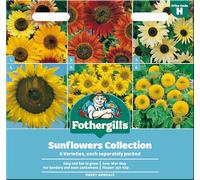 Fothergill's Sunflower Seeds Collection - 6 Varieties