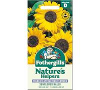 Fothergill's Sunflower Seeds 'Hallo'