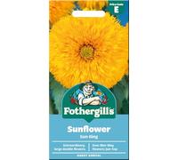 Fothergill's Sunflower Seeds 'Sun King'