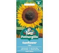 Fothergill's Sunflower Seeds 'Taiyo'