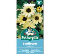 Fothergill's Sunflower Seeds 'Vanilla Ice'