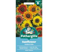 Fothergill's Sunflower Sunburst Mixed Flower Seeds, 50 Seeds, Sow: Mar-May, Yell